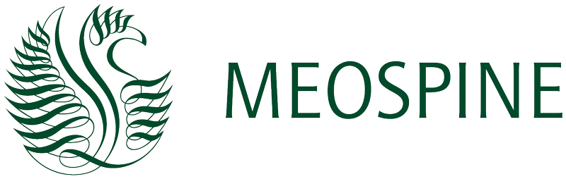 Logo Meospine Berlin Wirbelsaeule